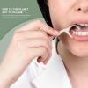 Isshah Floss Picks (300 Count) – Plant Based Dental Floss Picks for Superior Oral Care, Dental Hygiene, and Gum Health, Cruelty Free Tooth Floss Picks Single Thread (Mint)(Mint)