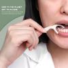 Plant Based Dental Floss Picks (300 Count) – Freshlock EcoPouch, Plant Based, Vegan, Eco Friendly, Sustainable Dental Flossers – Twin Floss (Mint)