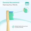 Bamboo Replacement Toothbrush Heads – FSC Certified and PETA Approved, 4 Count (Fits Most Philips Electric Toothbrushes)